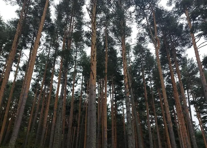 El Encanto De Gredos